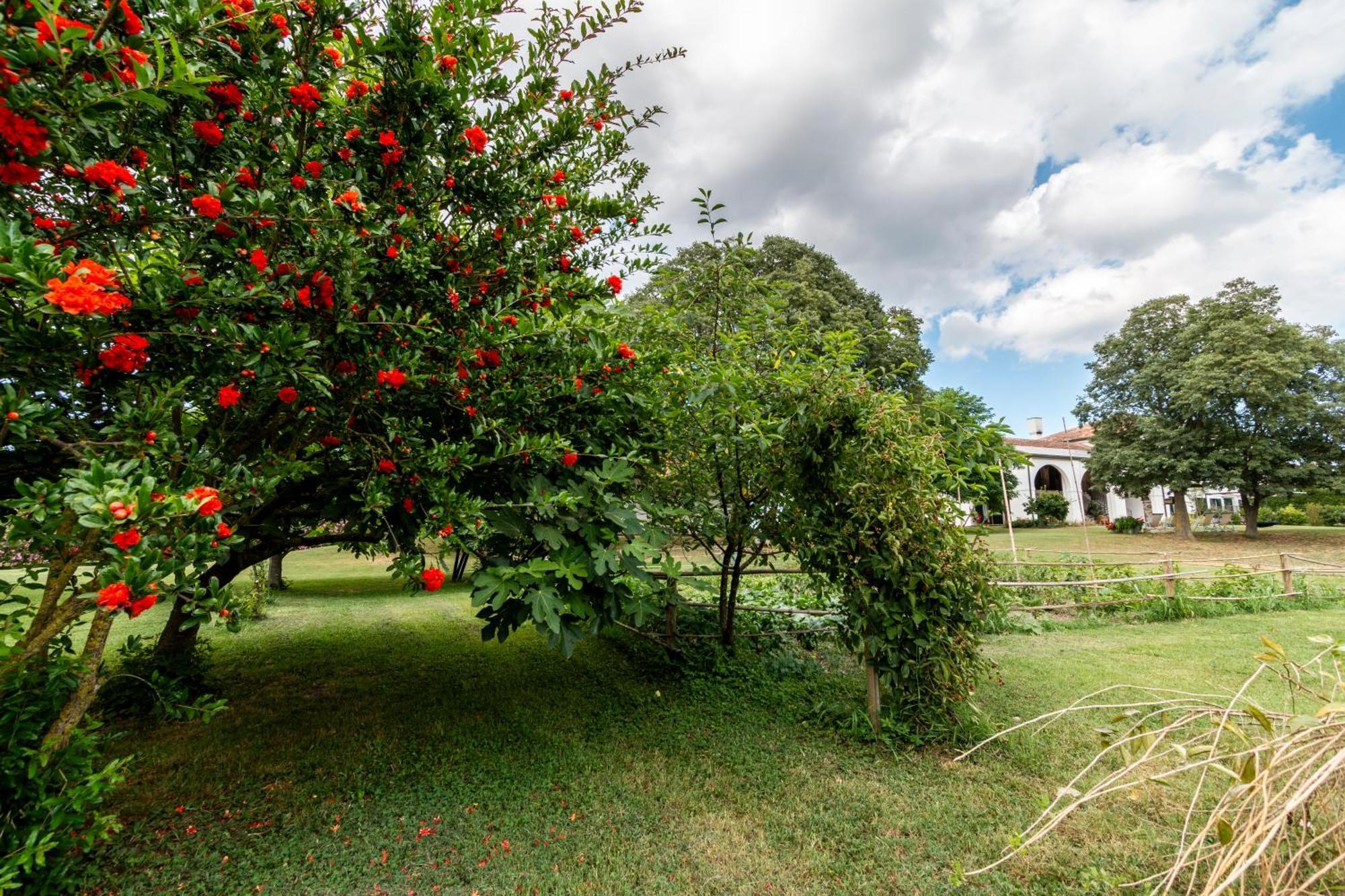 Agriturismo Monte Scala Taglio di Po Exterior foto